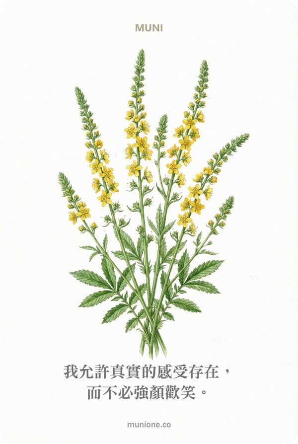 Agrimony(龍芽草)