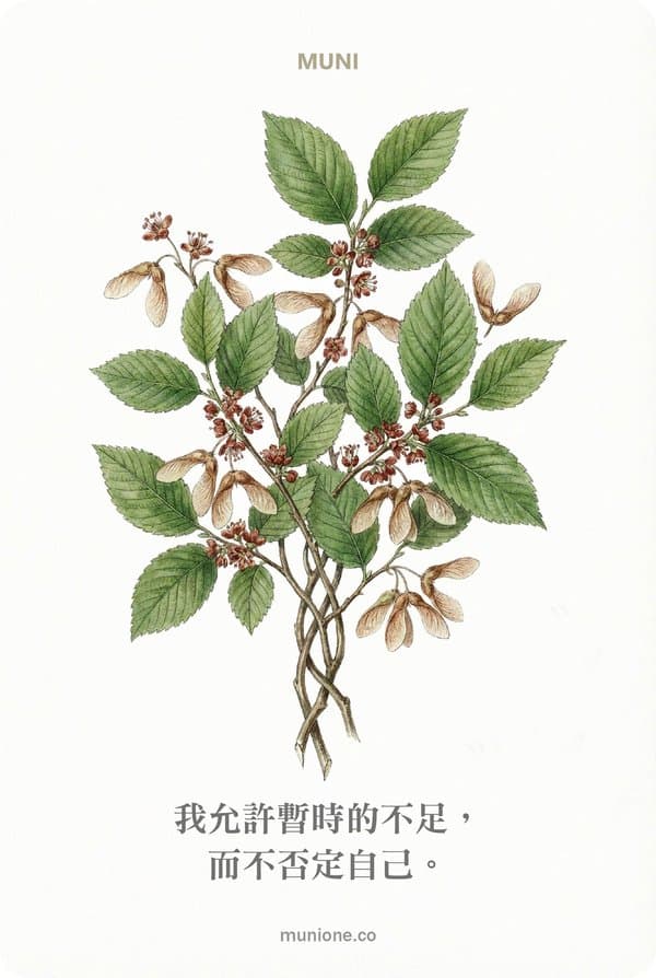 Elm(榆樹)