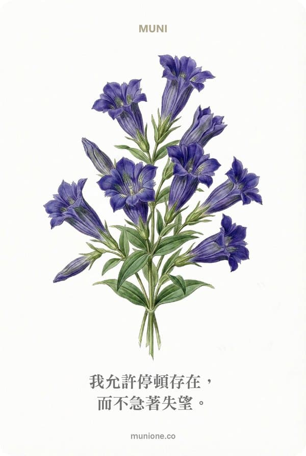 Gentian(龍膽草)