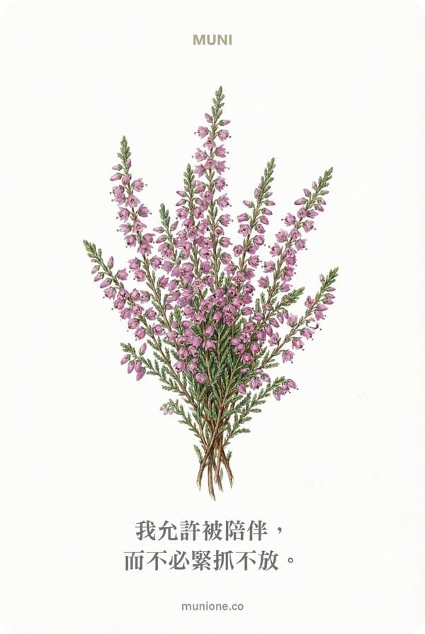 Heather(石楠)