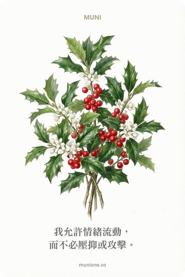 Holly(冬青)