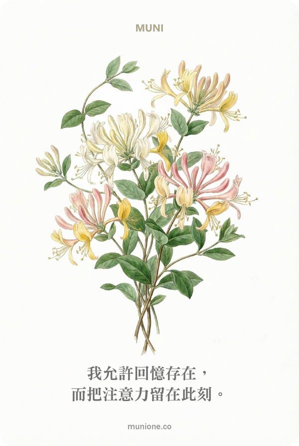 Honeysuckle(忍冬)