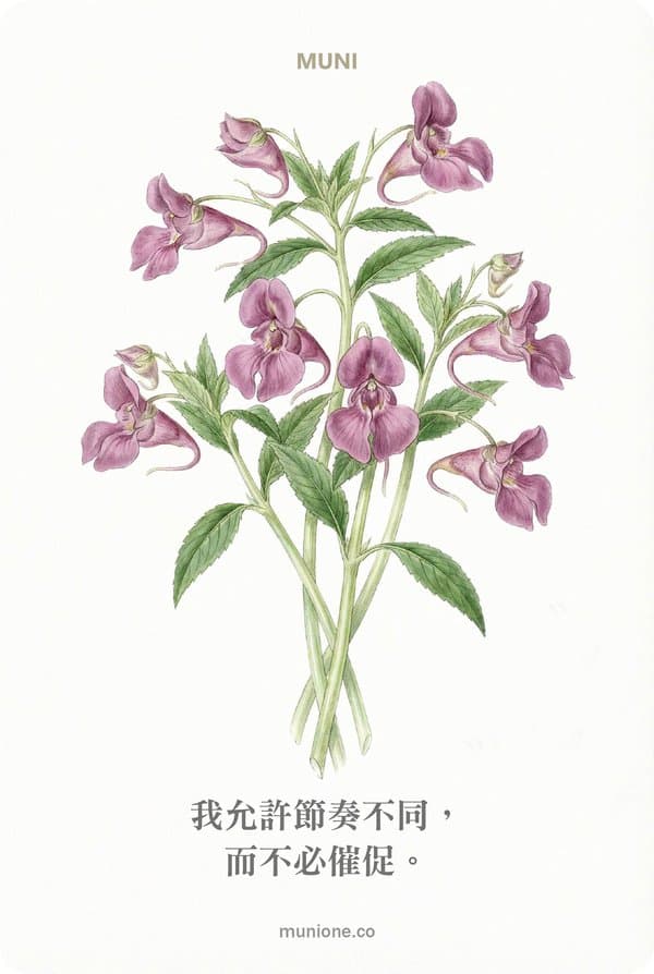 Impatiens(鳳仙花)
