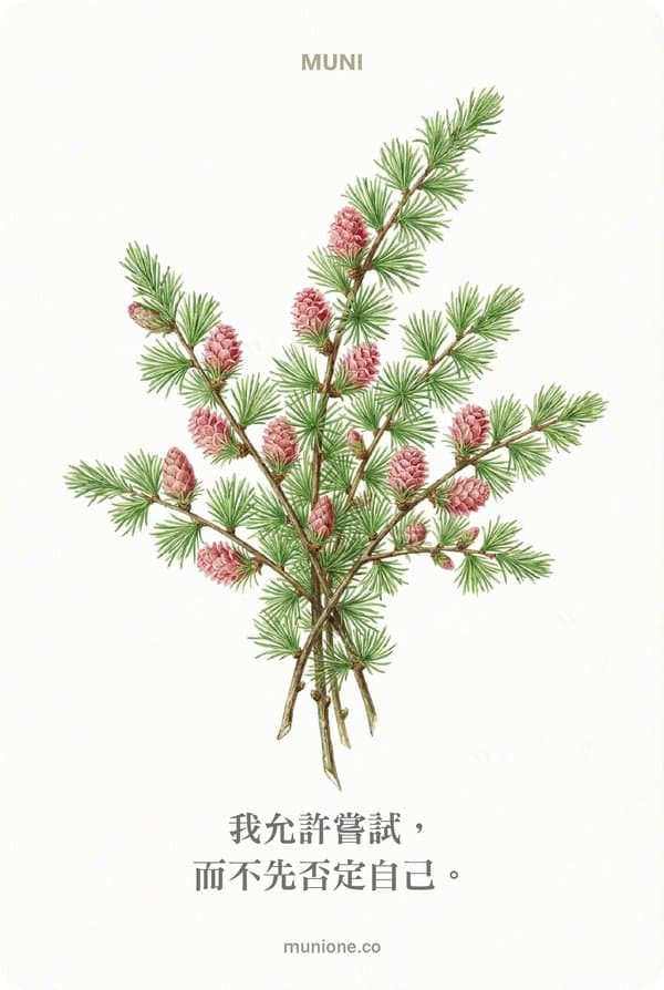 Larch(落葉松)