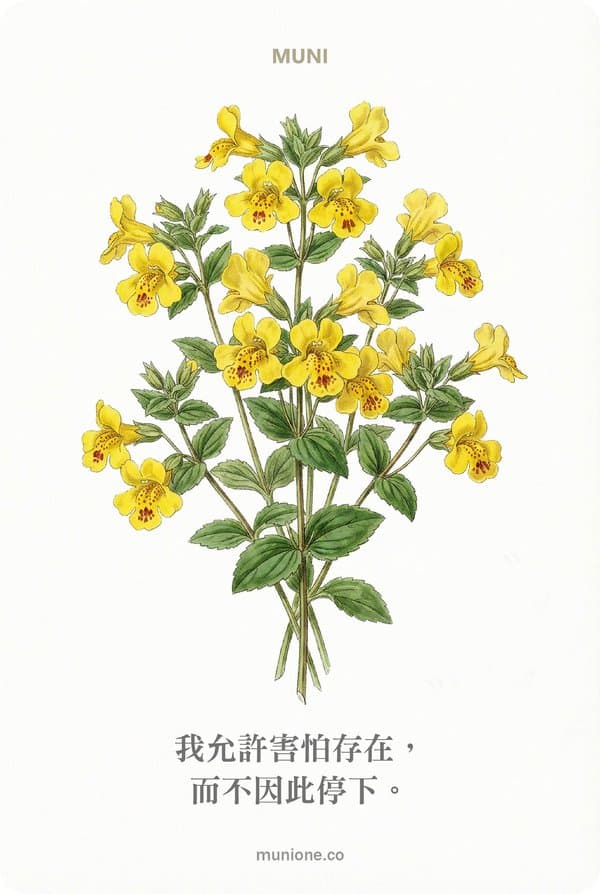 Mimulus(溝酸漿)