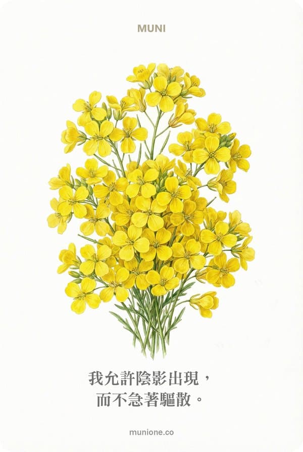 Mustard(芥末)