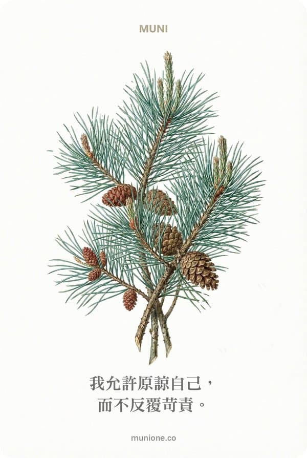 Pine(松樹)