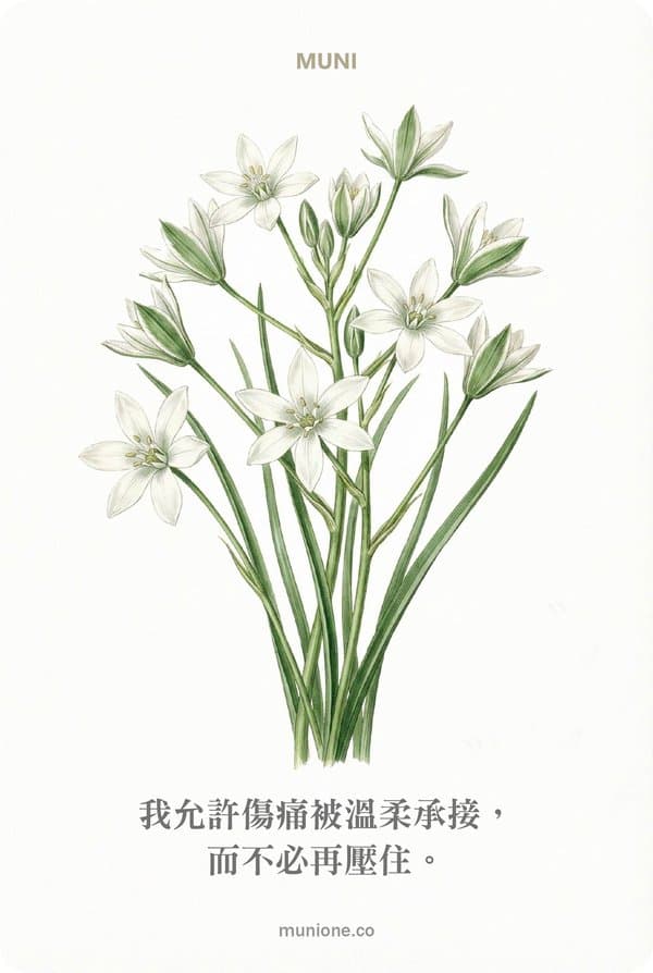 Star of Bethlehem(聖星百合)