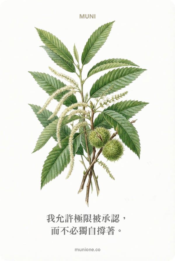 Sweet Chestnut(甜栗花)
