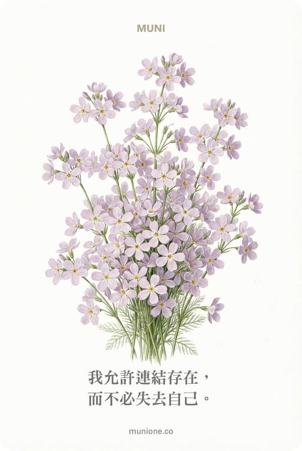 Water Violet(水堇)