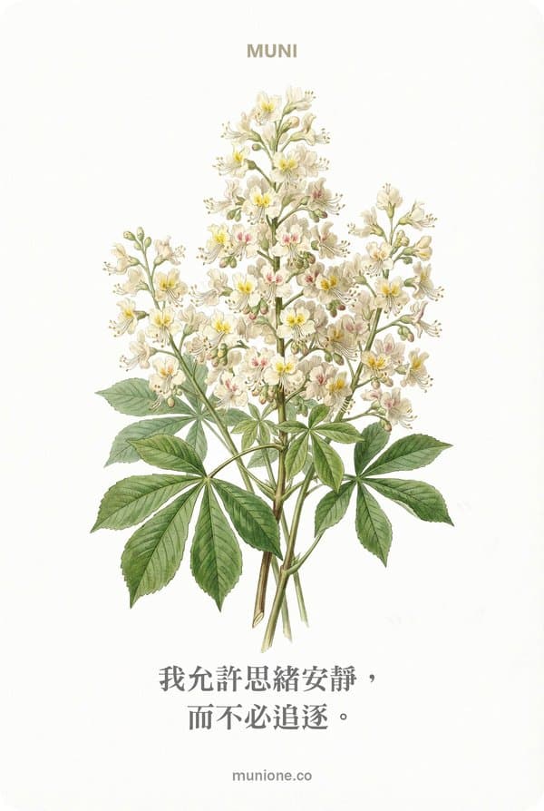 White Chestnut(白栗花)