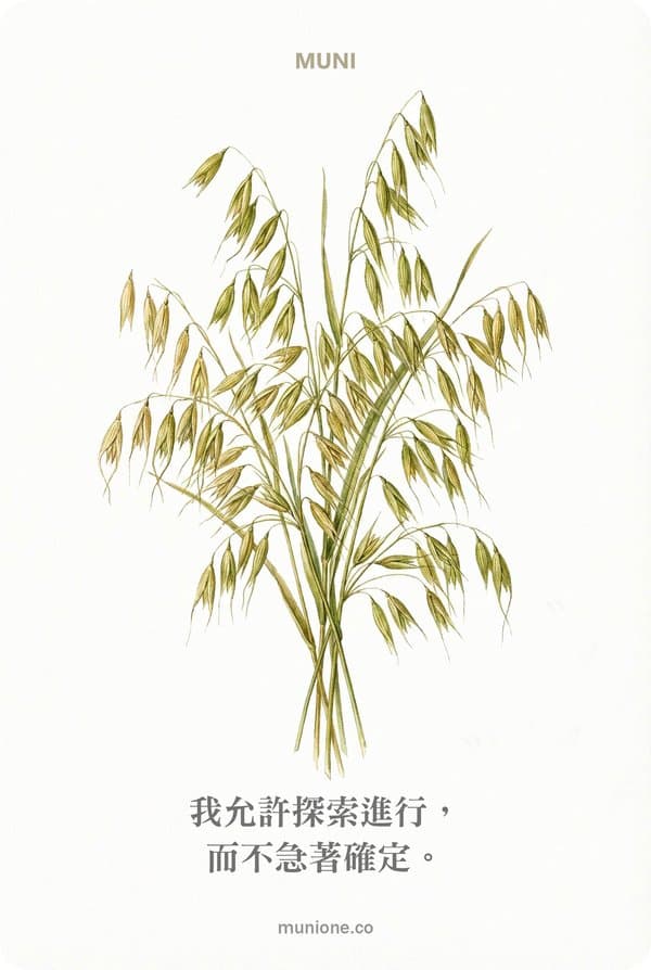Wild Oat(野燕麥)