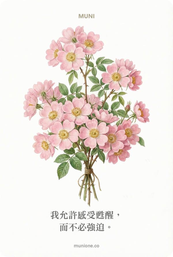 Wild Rose(野玫瑰)