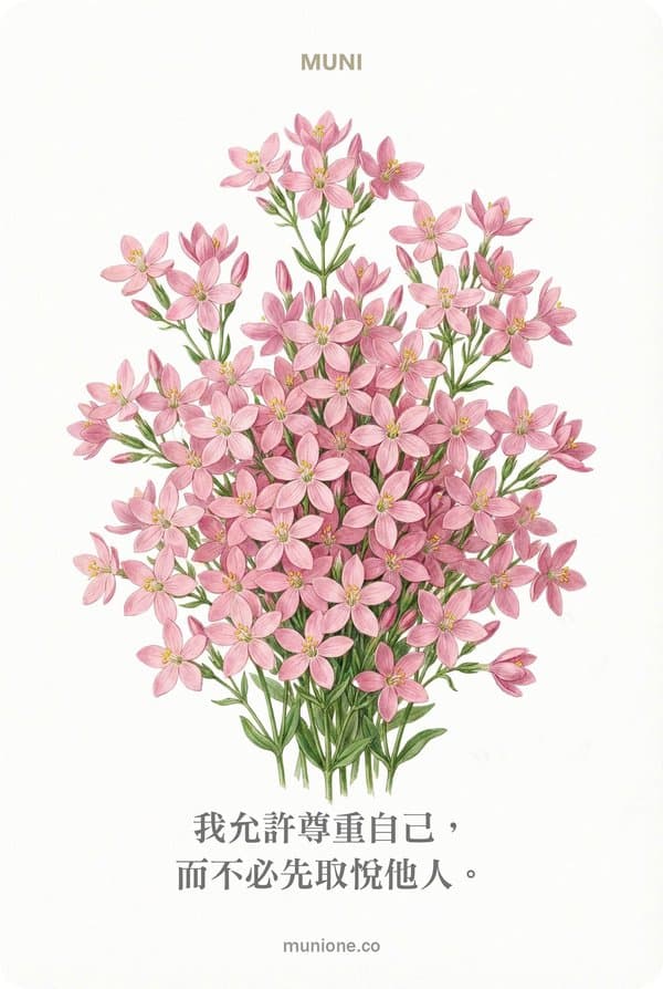 Centaury(矢車菊)